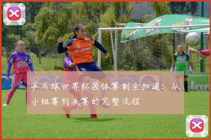 乒乓球世界杯团体赛制全知道：从小组赛到决赛的完整流程