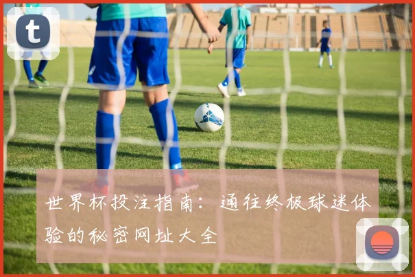 世界杯投注指南：通往终极球迷体验的秘密网址大全