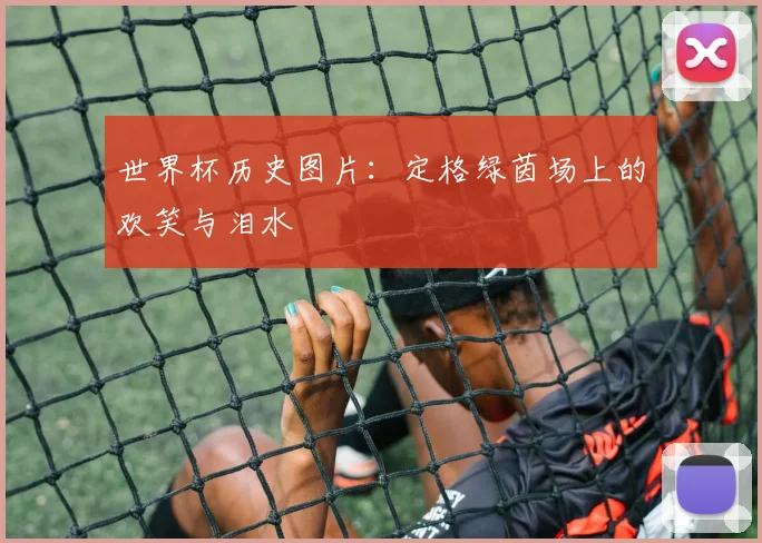 世界杯历史图片：定格绿茵场上的欢笑与泪水