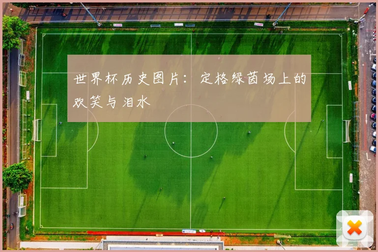 世界杯历史图片：定格绿茵场上的欢笑与泪水
