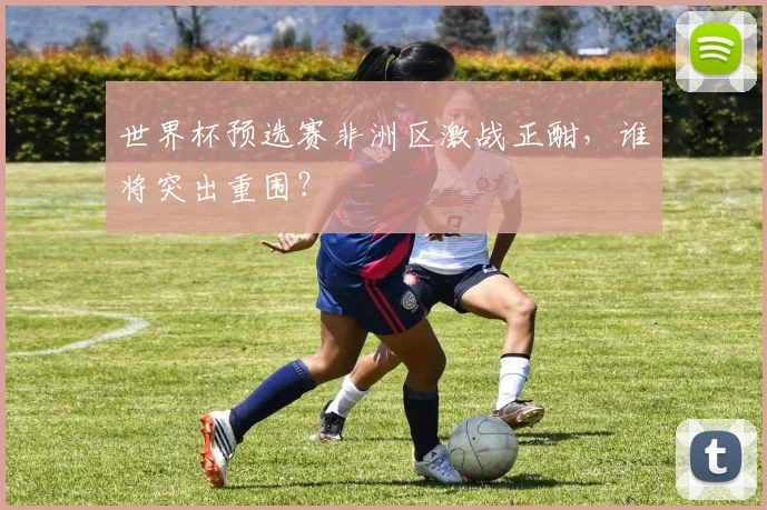 世界杯预选赛非洲区激战正酣，谁将突出重围？