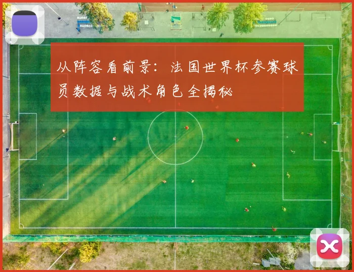 从阵容看前景：法国世界杯参赛球员数据与战术角色全揭秘