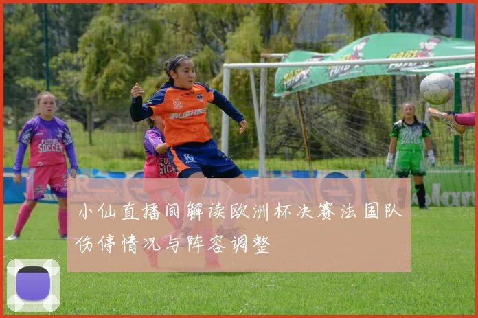 小仙直播间解读欧洲杯决赛法国队伤停情况与阵容调整